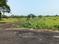 Amtala Plot View 2