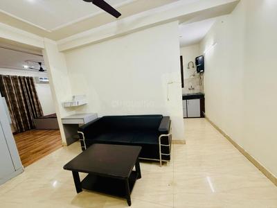 Hall Image of 1200 Sq.ft 1 BHK Apartment / Flat for rent in Sector 46 Gurgaon for Rs. 30000