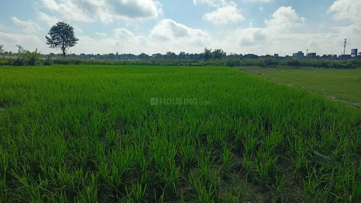 Real Estate Services  Main Image 1