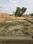 Sarnath Main Image 1