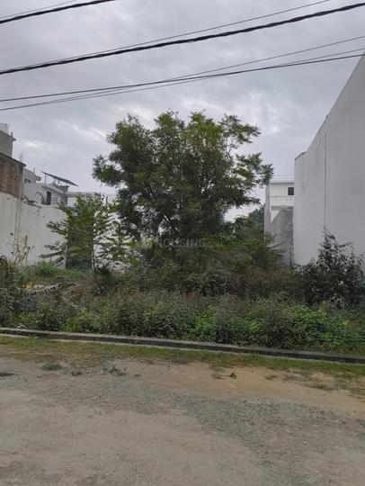 Camphor residential colony Main Image 1