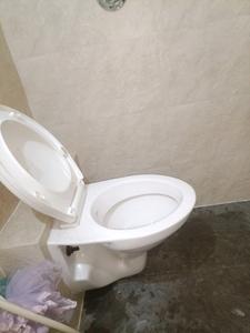 Common Bathroom Image of 585 Sq.ft 1 BHK Apartment / Flat for sale in Parth Utopia, Kalamboli Navi Mumbai for Rs. 6200000