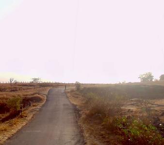 Agricultural Land
