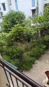 Image of 450 Sq.ft 1 BHK Apartment / Flat for sale in Sector 23 B Pokt 8, Sector 23B Dwarka, New Delhi for Rs. 6000000