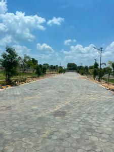 A K PLOTS Plot View 3