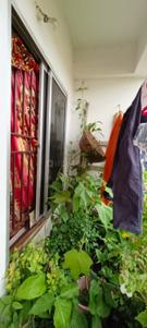 Image of 1250 Sq.ft 3 BHK Builder Floor for sale in Bhalubasa, Jamshedpur for Rs. 3500000