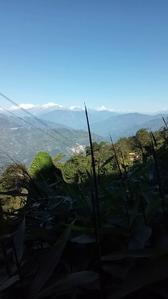 Image of 2178 Sq.ft Residential Plot / Land for sale in Kalimpong Khasmahal, Kalimpong for Rs. 1500000
