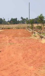 Patrapada Plot View 2