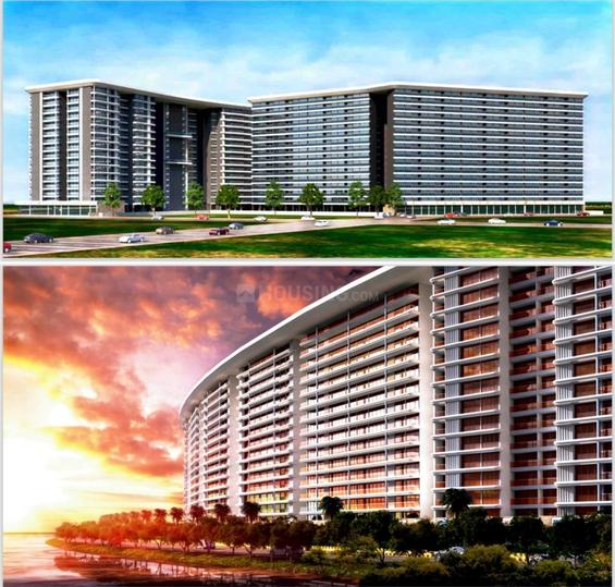 Palm Amore Main Image 1