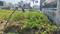 GMS Road Plot View 2