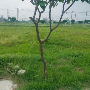 Image of 148 Sq.ft Residential Plot / Land for sale in Alpha Atulyam, Vasant Vihar, Karnal for Rs. 7500000