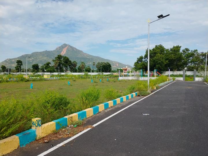 Daga Swarna Boomi Main Image 1