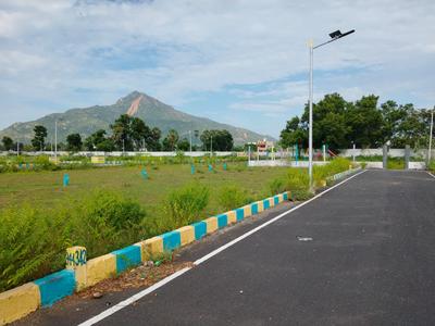 Residential Plot