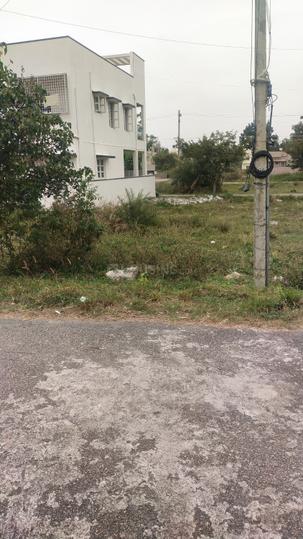 Koppa Gate Main Image 1