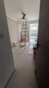 Hall Image of 450 Sq.ft 1 BHK Apartment / Flat for rent in Sector 14 Dwarka New Delhi for Rs. 24000