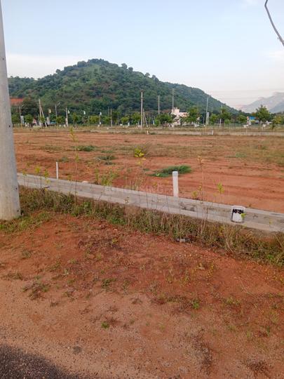 Pakala township  Main Image 1