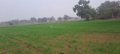 Image of 5000 Sq.ft Residential Plot / Land for sale in Ajayabpur, Greater Noida for Rs. 55000000
