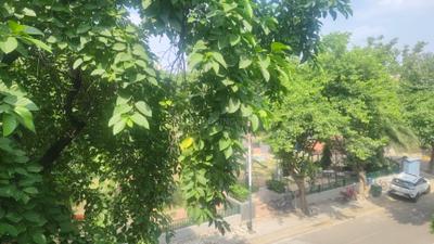 Image of 1150 Sq.ft 2.5 BHK Independent House for sale in Sector 49, Gurgaon for Rs. 17000000