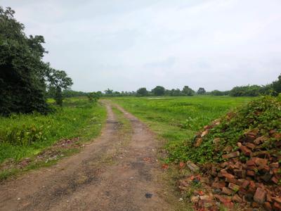 Residential Plot