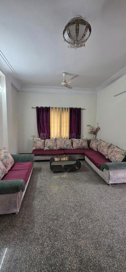 Palasia Main Image 1