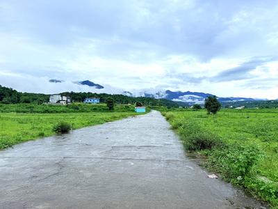 Bhauwala Plot View 2