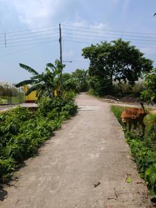 Image of 1440 Sq.ft Residential Plot / Land for sale in Joka, Kolkata for Rs. 449989