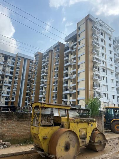 Ambika anand Main Image 1