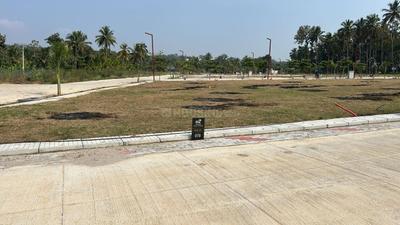 Nandi Nandi Nest Plot View 3