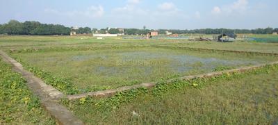 Image of 2000 Sq.ft Residential Plot / Land for sale in Budheshwar, Lucknow for Rs. 350200
