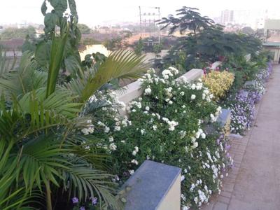 Image of 580 Sq.ft 1 BHK Apartment / Flat for sale in Atria Dhanashree Aangan, Handewadi, Pune for Rs. 3300000