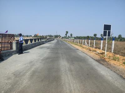 Annur Plot View 2