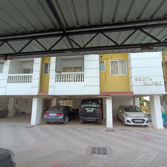 Protech Tulip Main Image 1