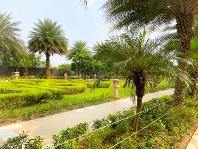 Image of 1510 Sq.ft 3 BHK Apartment / Flat for sale in MR Delhi 99, Bhopura, Ghaziabad for Rs. 11000000