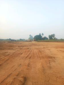 Image of 167 Sq.ft Residential Plot / Land for sale in Shadnagar, Ranga Reddy for Rs. 4175010