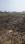 Hindustan press Plot View 2