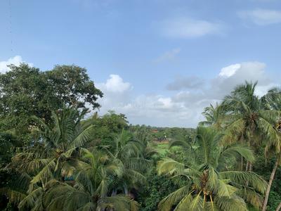 Image of 1636 Sq.ft 3 BHK Penthouse for sale in Naroo Palmanova, Panjim, Goa for Rs. 25000000
