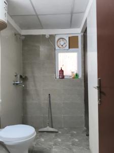 Common Bathroom Image of 1400 Sq.ft 3 BHK Apartment / Flat for rent in Amrapali Centurian Park, Techzone IV Greater Noida West, Greater Noida, Noida Extension Greater Noida for Rs. 25000