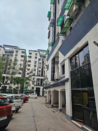 TULIP CITADEL SOCIETY  Main Image 1