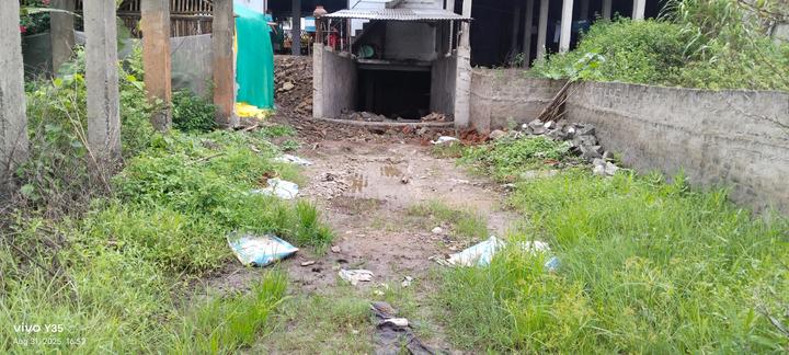 Parwaliya sany Main Image 1