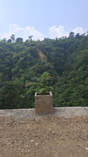Badasi Main Image 1
