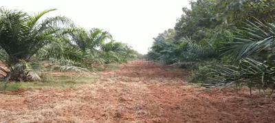 Image of 120 Sq.ft Residential Plot / Land for sale in Narayankhed, Sangareddy for Rs. 450000