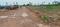 Kankipadu Plot View 2