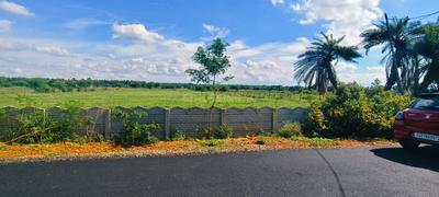 Agricultural Land