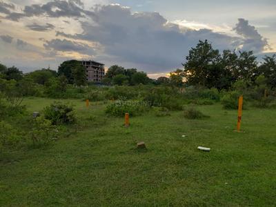 Residential Plot