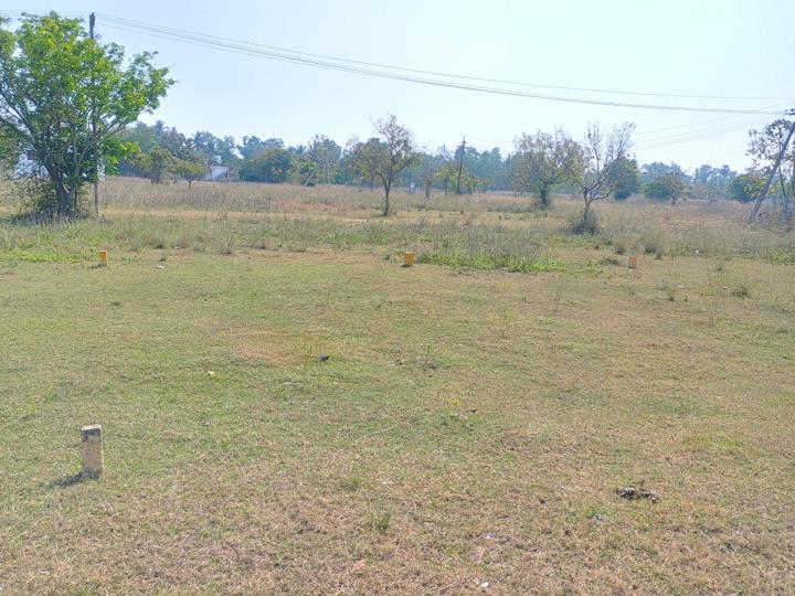 Poonjeri Main Image 1