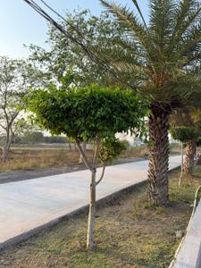 Image of 1500 Sq.ft Residential Plot / Land for sale in Sendri, Bilaspur for Rs. 2000000