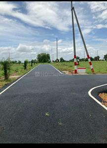 Thaluru Plot View 2