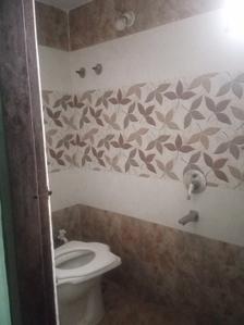 Image of 600 Sq.ft 1 BHK Independent House for rent in Ayodhya Bypass, Bhopal for Rs. 7000