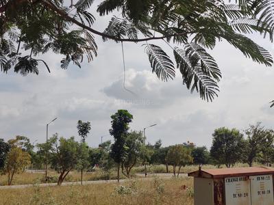 Residential Plot
