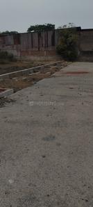P M Shankara Niketan Plot View 2